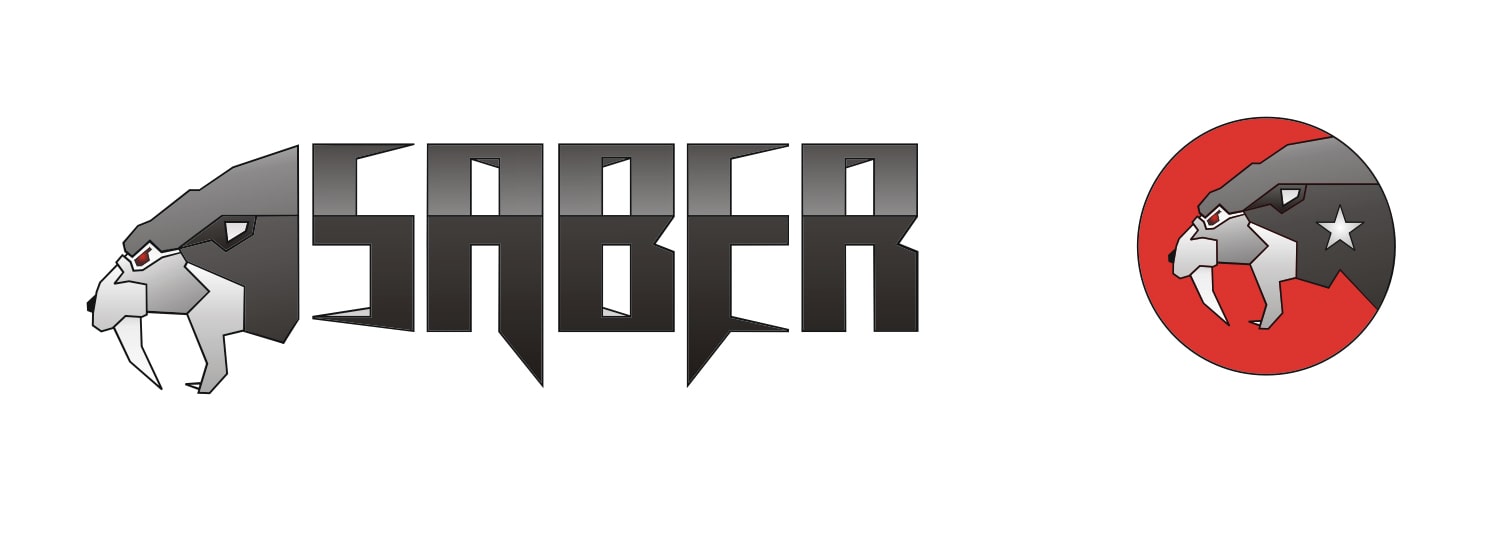 saber (red) concept